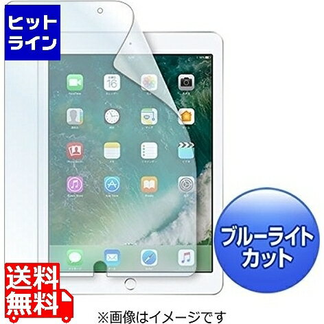 20日は【ポイント4倍】楽天カード企画！ サンワサプライ Apple9.7インチiPad2017用ブルーライトカット液晶保護指紋反射防止フィルム LCD-IPAD8BCAR