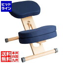 【お買い物マラソン】06/27 AM1:59まで 宮武製作所 ミヤタケ プロポーションチェアキッズ CH-N889CK ナチュラルネイビー CH-N889CK