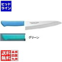 片岡製作所 マスターコック抗菌カラー庖丁 洋出刃 MCDK-240 グリーン 業務用 AMSE5245A