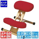【お買い物マラソン】05/27 AM1:59まで プロポーションチェア CH-88WRE レッド 宮武製作所 | チェア イス 椅子 いす 子どもから大人まで 姿勢 背中 補助 矯正 背筋 キャスター 高さ調節 クッション(3)