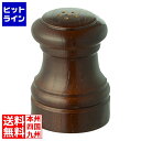テイケイジイ IKEDA 2102 ソルトシェーカー PPPA2