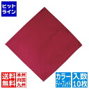 江部松 EBM カトラリーケース用ナプキン(10枚入)ディープレッド 230×230 0362100 5-1433-3001