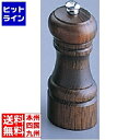池田製作所 IKEDA 9105 ソルトミル PPP50009