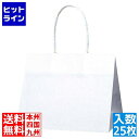 【お買い物マラソン】05/16 AM1:59まで 江部松 手堤袋 Pスムース 25-19(25枚入)白無地