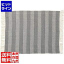 【スーパーSALE】6/11 AM1:59まで 東谷 ブランケット TTZ-519A(3)