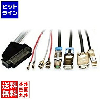 IBM HD SAS to Mini-SAS ケーブル 00NV419