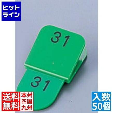 【6月1日ワンダフルデー】 光 親子札(50ヶセット) KF969 1～50 緑 POY0302