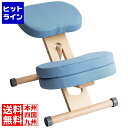 【お買い物マラソン】06/27 AM1:59まで 宮武製作所 ミヤタケ プロポーションチェアキッズ CH-N889CK ナチュラルライトブルー CH-N889CK