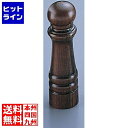 テイケイジイ IKEDA 7102 ソルトシェーカー