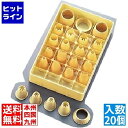 【お買い物マラソン】05/16 AM1:59まで テルモハウザー サーモ ケース入口金セット20ケ入 31883 WKTF2