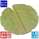 要エントリ【11/25 24時間限定当選確率2分の1!1等最大100%ポイントバック】 ヤマコー 干朴葉懐敷(緑)100枚入 25995 丸型(小) 業務用 ...