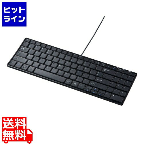 要エントリ【11/20 24時間限定当選確率2分の1！1等最大100%ポイントバック】　 サンワサプライ 英語配列USBスリムキーボード SKB-E2UN