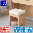 白井産業 アドミラ2 AM2-4535S NA AM2-4535SNA