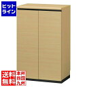 【お買い物マラソン】08/11 AM1:59まで 白井産業 シューズボックス 下駄箱 日本製 玄関収納 洗える樹脂棚 約15足収納 幅61cm 高さ約96cm ...