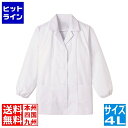 サンペックスイスト 女性用調理衣 長袖 FA-3354L STY106