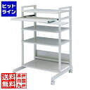 サンワサプライ スチール製ハイスタンドパソコンラック RAC-EC7SN2