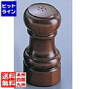 テイケイジイ IKEDA 3102 ソルトシェーカー