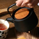 南部鉄器 急須 日本製 560ml tetu ティーポット 茶こし付き 鉄器