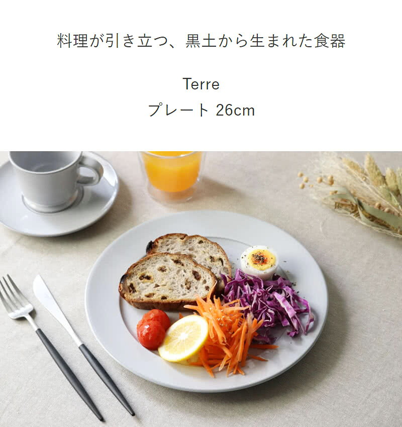 【選べる特典付き】 プレート 26cm ROOTS テール 磁器 日本製 大皿