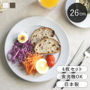 プレート 同色4枚セット 26cm ROOTS テール 磁器 日本製 大皿