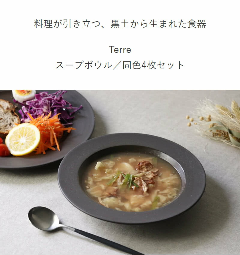 【選べる特典付き】 スープボウル 同色4個セット パスタ皿 24cm ROOTS テール 磁器 日本製