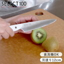 包丁 刃渡り 120mm セレクト100 キッチンナイフ ショート ( 送料無料 果物ナイフ 小型包丁 小型ナイフ コンパクト 軽量 12 cm 人工大理石 ハ...