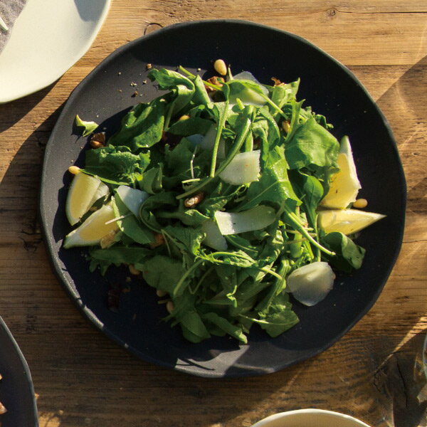 【選べる特典付き】 プレート 25cm 同色4枚セット 皿 キントー KINTO アルフレスコ ALFRESCO プラスチック製