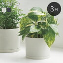 プランター 植木鉢 鉢植え 磁器 受け皿付 キントー KINTO プラントポット PLANT POT 191 直径10.5cm