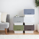 【選べる特典付き】 収納ケース プ