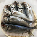 特大あじ 鯵 アジ オランダ産アジ 干物 大きいサイズ 脂乗り抜群 ご自宅用 朝の定番 酒のアテ おかずにピッタリ ふっくら ジューシー 5枚 女将の福箱