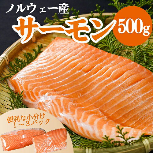 ノルウェーサーモン たっぷり 500g 生食可 皮つき サーモン ブロック 国内加工 沼津市 まるが水産 真空 冷凍 サーモン お得 特大 刺身 寿司 お買い得 お得 【SANKO MARKETING FOODS】 【お刺身】