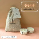 【送料無料・メール便・日付指定不可】祖父母を偲ぶキャンドル 敬老の日のお参りに ●2個入り● 無香料 無着色 100%ソイワックス使用 ティーライト クリアカッ...