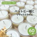 【マラソン限定★1,000円OFFクーポン】ソイキャンドルミニ60個入【無香料 無着色100%ソイワックス】まとめ買い ストック イベントや防災用にも★楽天ランキング1位!ティーライト クリアカップ 燃焼約3時間半 国内製造 業務 ギフト ペットと一緒に