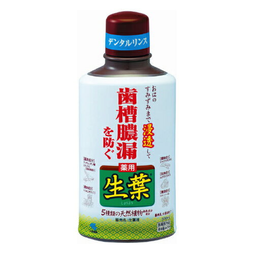 ●歯ぐきの腫れ・出血を伴う歯槽膿漏を防ぐ、液体ハミガキ ●お口のすみずみまで浸透 ●5種類の天然植物由来成分配合 ●薬用成分ヒノキチオール、グリチルリチン酸ジカリウム配合 ●さわやかなハーブミント味 ・メーカー：小林製薬株式会社 　　　　　...