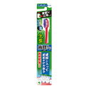 \30・1日限定!全商品10%OFFクーポン/小林製薬 生葉 歯間に入るブラシ レギュラー ふつう【ハミガキ 虫歯予防 口臭予防 健康 オーラル 衛生】