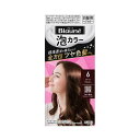 \20日限定!全商品10%OFFクーポン/花王 ブローネ 泡カラー 6 ダークブラウン 108ml【髪 ヘアケア 髪染め 白髪用 しっとり 若々しい 】