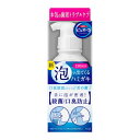 \週末限定!全商品対象10%OFFクーポン/花王 薬用ピュオーラ 泡で出てくるハミガキ フレッシュミントの香味 190ml【衛生 健康 口臭ケア 口内 洗口液】