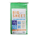 \3日間限定☆全商品対象10%OFFクーポン/【訳あり】ビッグシートライト 2畳 170×170cm【在庫限り 数量限定】
