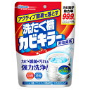 ジョンソン　アクティブ酸素で落とす　洗たく槽カビキラー　粉末タイプ　250g【大掃除 清掃 】