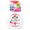 \30・1日限定!全商品10%OFFクーポン/ライオン キレイキレイ薬用泡ハンドソープ フルーツミックスの香り 本体大型 500ml【衛生 ボディケア 石鹸 ハ...