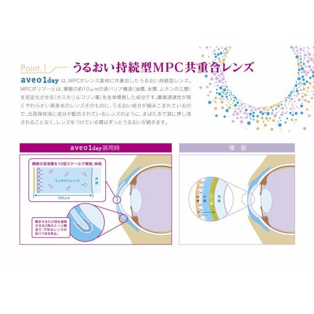 ���٥����ǡ�(aveo 1day)30������6Ȣ (����̵��)�ʥݥ����10�ܡˡʽ�������ס�