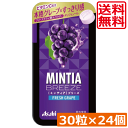 送料無料 アサヒグループ食品 ミンティアブリーズ フレッシュグレープ 30粒×24個 アサヒグループ ミンティア タブレット ミント 大粒 携帯用