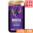 送料無料 アサヒグループ食品 ミンティアブリーズ フレッシュグレープ 30粒×8個 アサヒグループ ミンティア タブレット ミント 大粒 携帯用