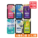 送料無料 アサヒグループ食品 ミンティアブリーズ 30粒 全6種 各2個 合計12個 アサヒグループ ミンティア タブレット ミント 大粒 携帯用