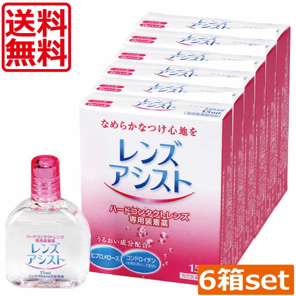 レンズアシスト　15ml×6本　(送料無料)(mail)