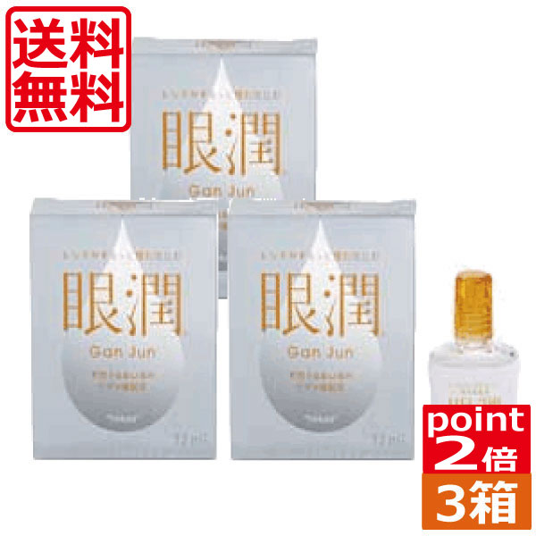 ポイント2倍 ハードレンズ用装着液 東レ 眼潤 (12ml) ×3個 コンタクトケア