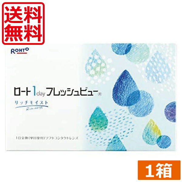 ロート ワンデーフレッシュビューリッチモイスト(90枚) ×1箱 送料無料 1day ROHTO　フレッシュビュー