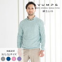 【父の日におすすめ】VUMPS ヴァンプス メンズ ニット 春夏用 全4色 M-LL ラグランクルーネック 麻混 通気性 心地いい 父の日 プレゼント