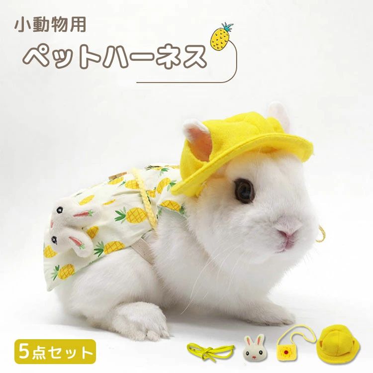 �������� �ϡ��ͥ� �꡼�ɥ��å� �İ��� ��ưʪ ���� 5�����å� ˹�� �� ������ �ۡ����ɥ��å� ����å� ������ ���Ф��� ��ʪ ��