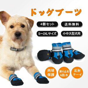 サイズが選べる！犬の雪遊び用ブーツ・靴のおすすめを教えて！